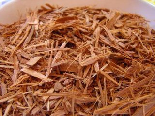 Catuaba Bark Extract Catuaba Bark Extract