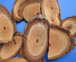Caulis Piperis Kadsurae Extract Caulis Piperis Kadsurae Extract