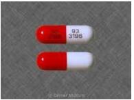 Cefadroxil Cefadroxil