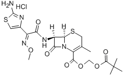 Cefetamet pivoxil hydrochloride Cefetamet pivoxil hydrochloride
