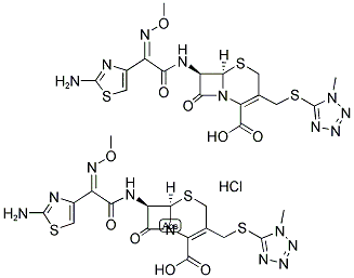 Cefmenoxime Hcl Cefmenoxime Hcl
