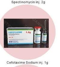 Cefminox Sodium for Injection Cefminox Sodium for Injection