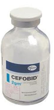 Cefobid Cefobid