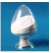 Cefsulodine sodium Cefsulodine sodium