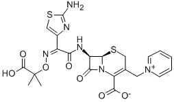 Ceftazidine Ceftazidine