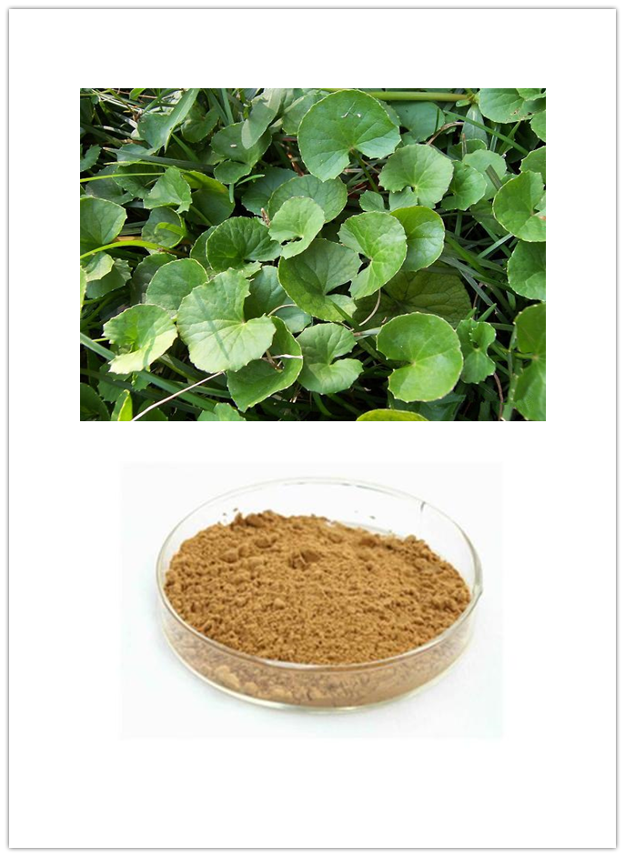 Centella Asiatica Extract Centella Asiatica Extract