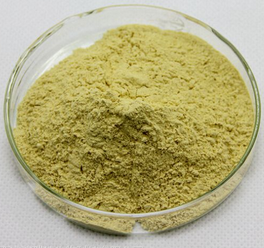 Chlorophyll E140 Chlorophyll E140