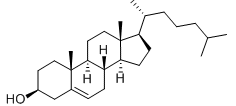 Cholesterol Cholesterol