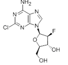 Clofarabine Clofarabine