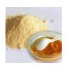 Cobra Venom Proteinase Cobra Venom Proteinase