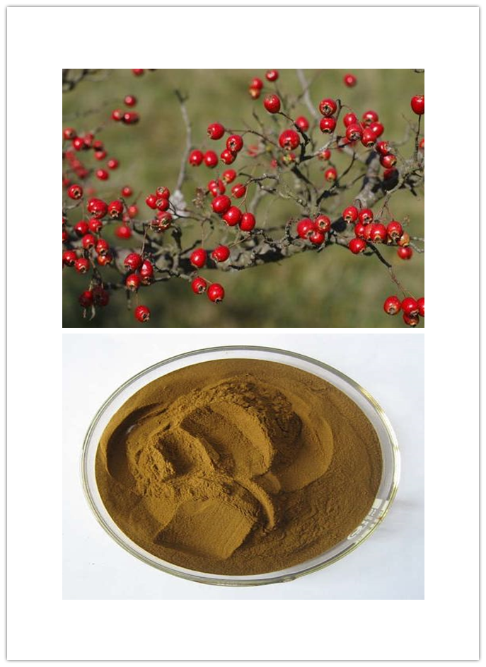 Coccinia indica extract, leaf Coccinia indica extract, leaf