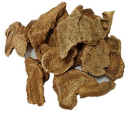 Costusroot extract Costusroot extract