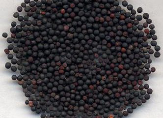 Cowherb Seed Extract