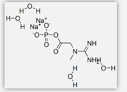 Creatine Phosphate Sodium Salt Creatine Phosphate Sodium Salt