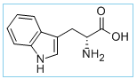 D(+)-Tryptophan D(+)-Tryptophan
