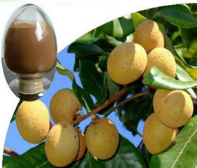 Dried Longan Pulp Extract Dried Longan Pulp Extract