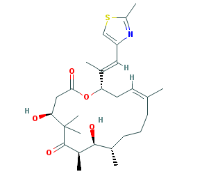 Epothilone D Epothilone D