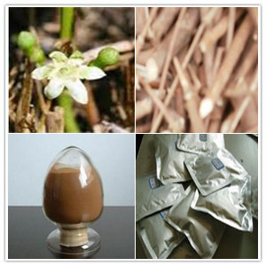 Fadogia Agrestis Extract Fadogia Agrestis Extract