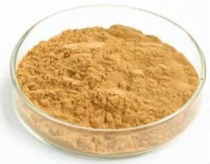 Flaxseed Extract Flaxseed Extract