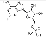 Fludarabine Phosphate Fludarabine Phosphate