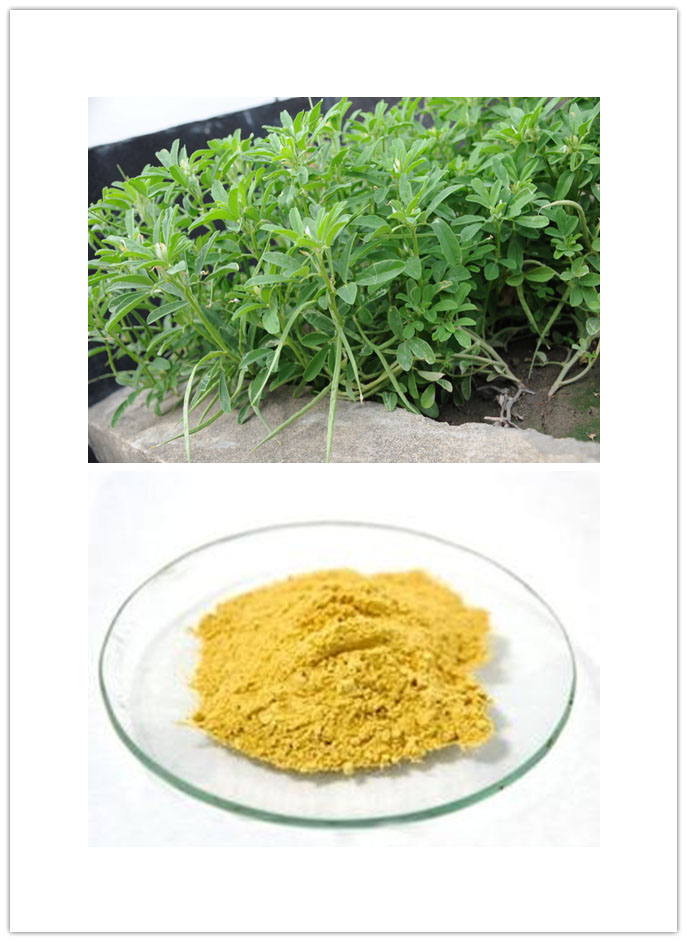 Foenum graecum Extract Foenum graecum Extract