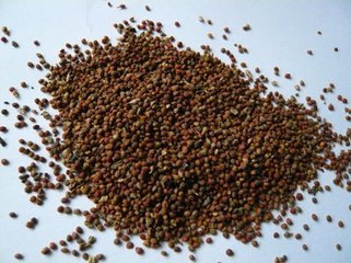 Fructus Broussonetiae Extract Fructus Broussonetiae Extract