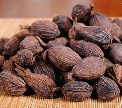 Fructus Tsaoko Extract Fructus Tsaoko Extract