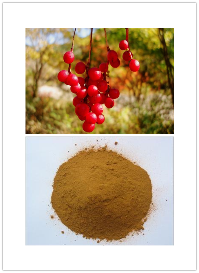 Fructus schisandrae chinensis P.E Fructus schisandrae chinensis P.E