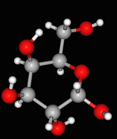 Galactose Galactose