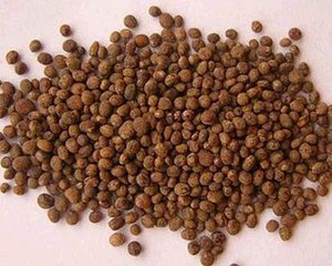 Garden Balsam Seed Extract Garden Balsam Seed Extract