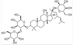 GinsenosideRd GinsenosideRd