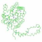 Glucose isomerase Glucose isomerase