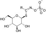 Glucosinolates Glucosinolates