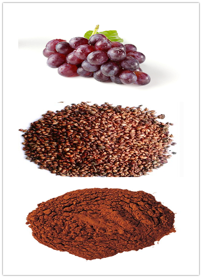Grape Seed Extract Grape Seed Extract