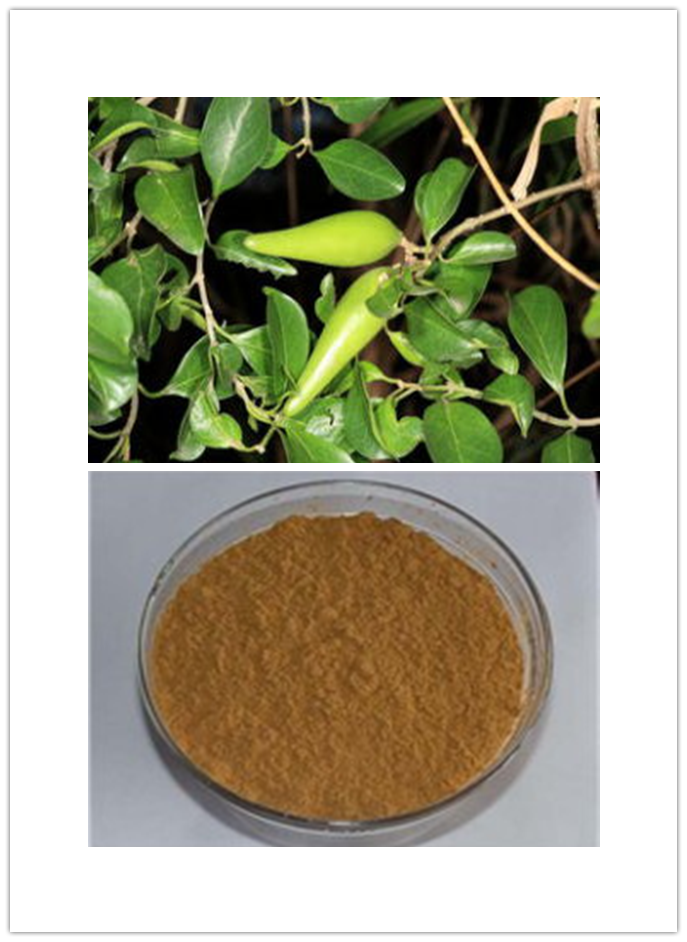 Gymnema sylvestre extract