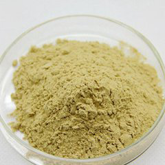 Hami Melon Extract Hami Melon Extract