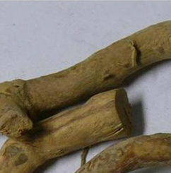 Heterophyllous Wing Seedtree Root Extract Heterophyllous Wing Seedtree Root Extract