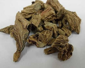 Himalayan Teasel Root Extract Himalayan Teasel Root Extract