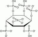 Inositol Hexaphosphate Inositol Hexaphosphate
