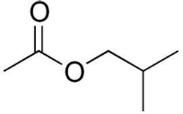 Isobutyl Acetate Isobutyl Acetate