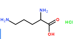 L(+)-Ornithine hydrochloride L(+)-Ornithine hydrochloride