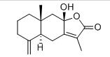 Langehead atractylodes rhizome extract Langehead atractylodes rhizome extract