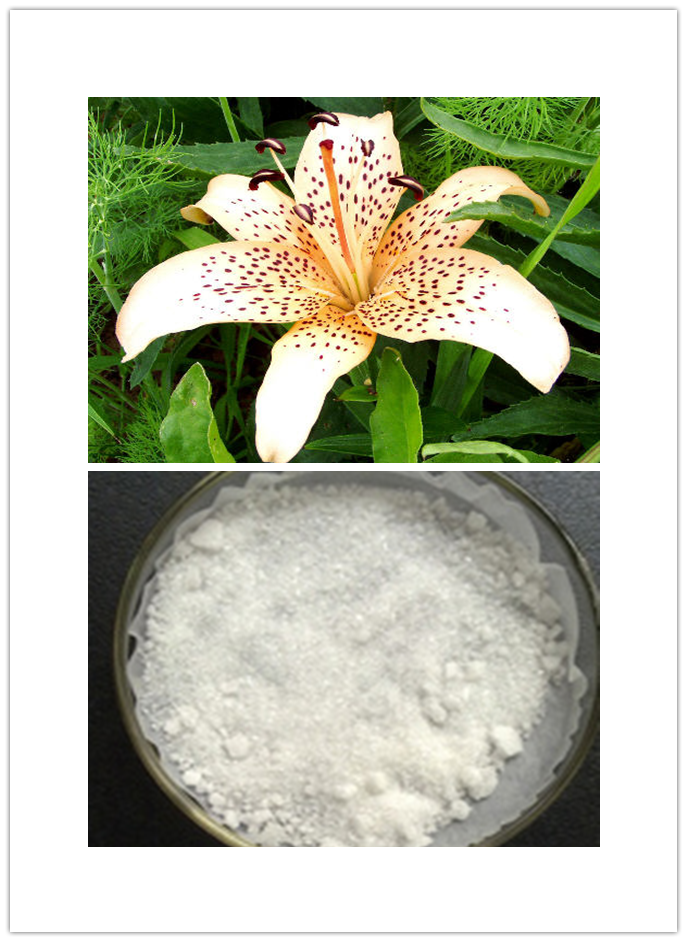 Lily bulb extract