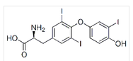 Liothyronine Sodium Liothyronine Sodium