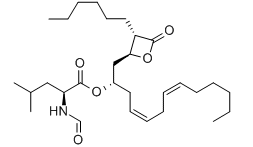 Lipstatin Lipstatin