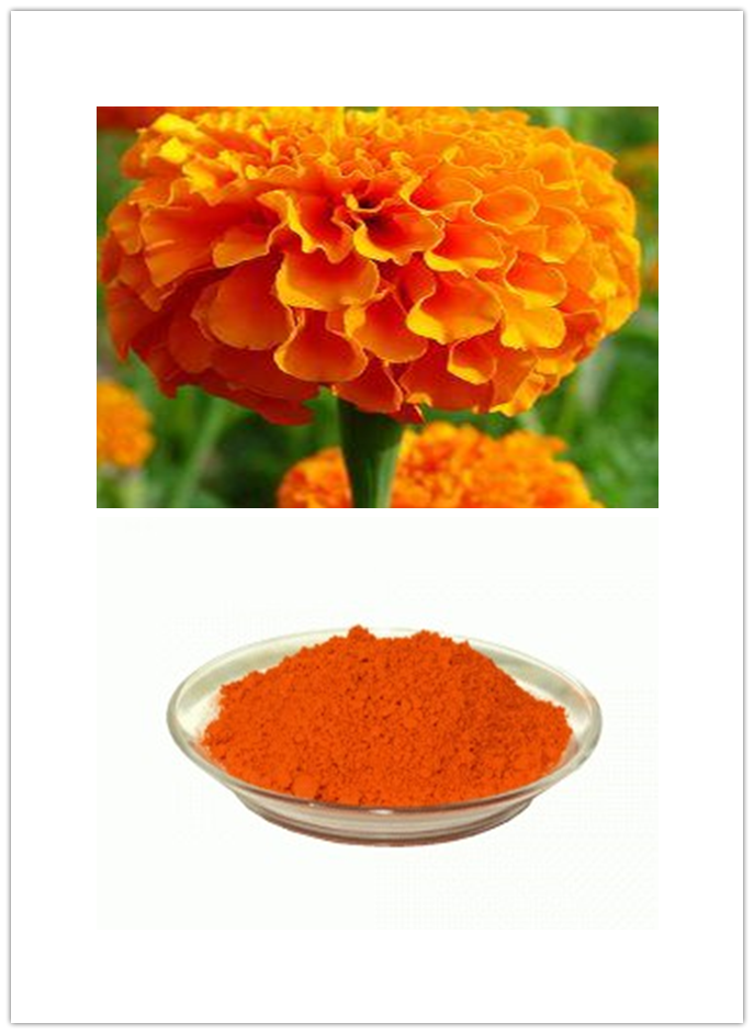 Lutein ester