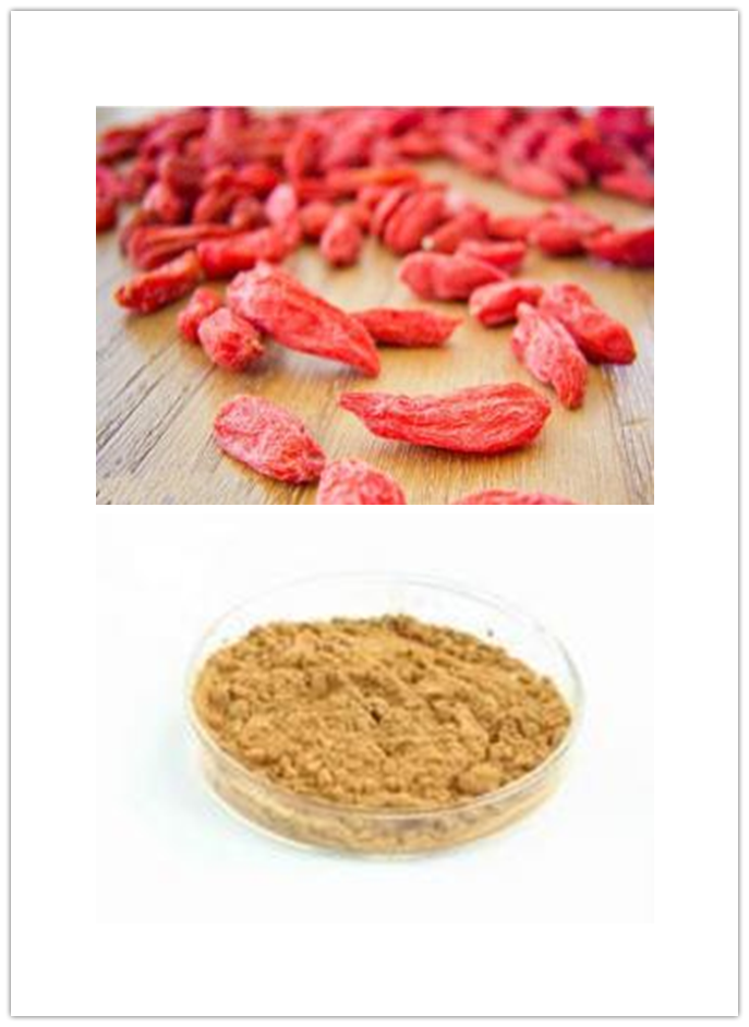 Lycium barbarum L