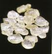 Mastic gum Mastic gum