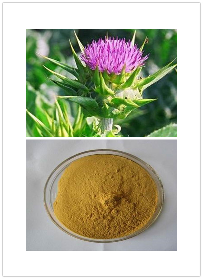 Milk Thistle Extract Milk Thistle Extract