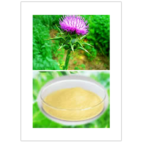 Milk Thistle seed extrac